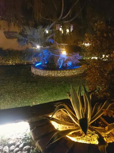 a fountain in a park at night with a plant at Sidus Rooms in Sona