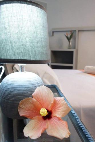 Gallery image of Osa rooms in Bosa