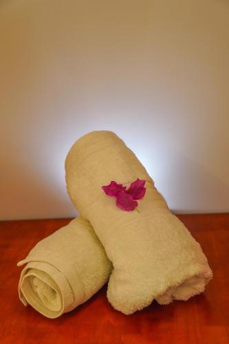 a roll of toilet paper with a flower on it at Sun & Surf in Thulusdhoo