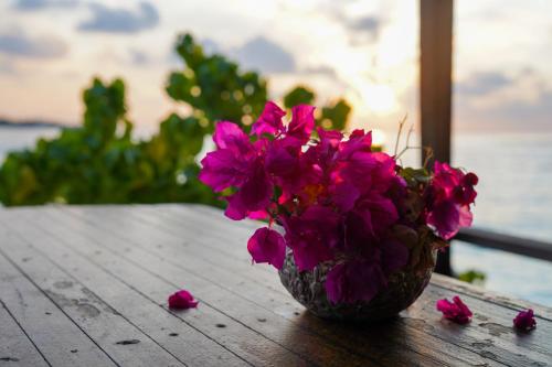 a vase of pink flowers sitting on a table at Sun & Surf in Thulusdhoo
