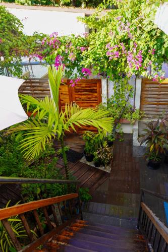 a garden with a bunch of plants and flowers at Sun & Surf in Thulusdhoo