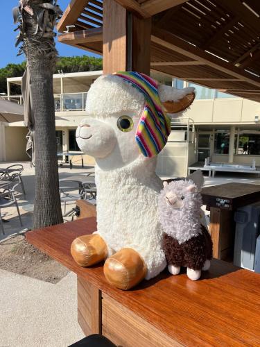 a stuffed goat and a lamb sitting on a table at Résidence Kaliopé in Le Lavandou