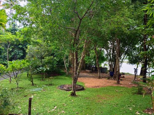 Κήπος έξω από το Green Haven Homestay