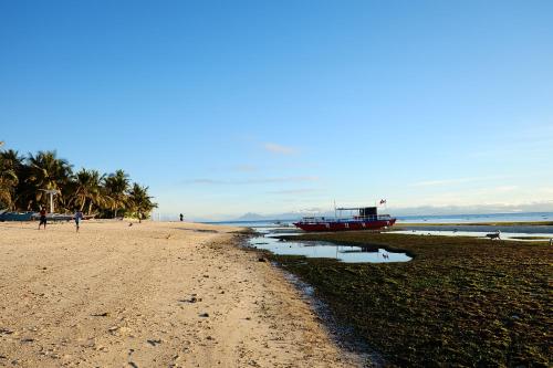 a boat on a beach with palm trees on the shore at Malapascua Budget Inn MBI DIVE CENTER in Malapascua Island