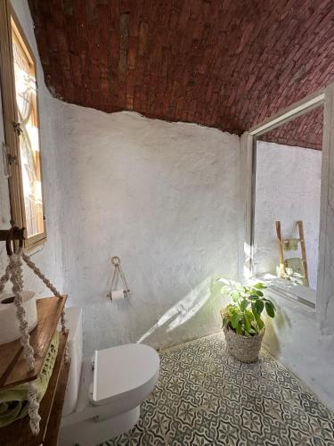 a bathroom with a toilet and a window at Nala Narty Boutique Hotel & Farm in Aswan
