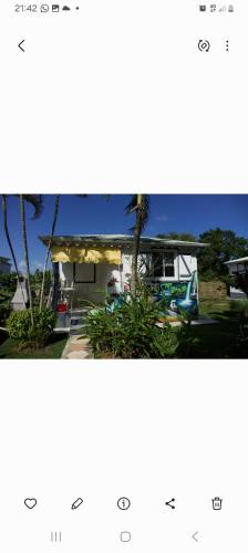 a picture of a house with a palm tree at La Sainte Rosienne pomme cannelle in Sainte-Rose
