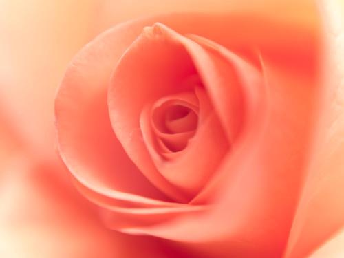 Gallery image of YHA Ravenstor in Millers Dale