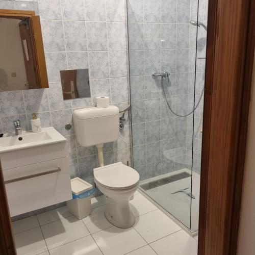 a bathroom with a toilet and a shower at Apartments Nada in Vir
