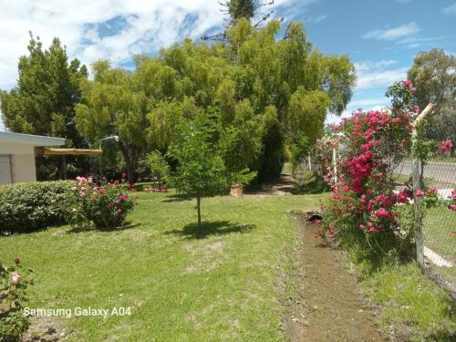 einen Garten mit rosa Blumen und einem Zaun in der Unterkunft Damasco in San Rafael