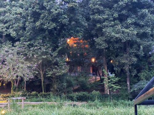 a house in the middle of a forest of trees at Ban Kaew Mo Ra Glamping & Restaurant in Pang Mapha