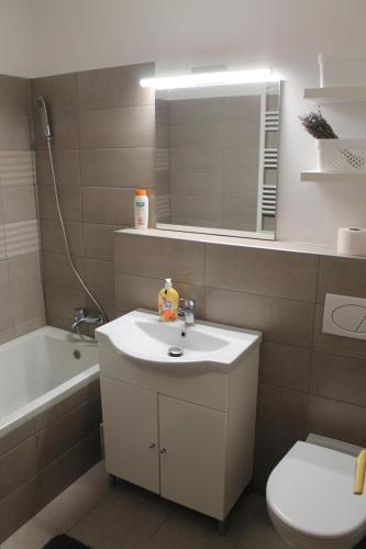Un baño con lavabo, inodoro y espejo. en Tristan`s Home, en Sfântu-Gheorghe