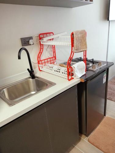 MarimbetiにあるNanic Homes Aries Studioのシンクの横に食器乾燥ラック付きのキッチンシンク