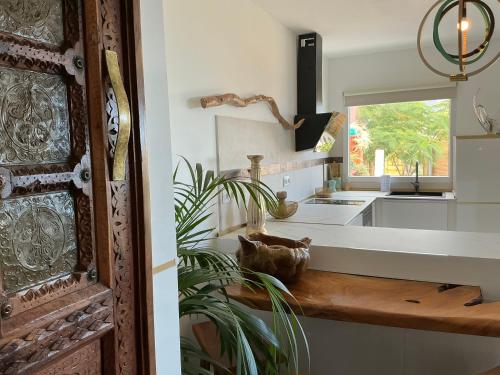 a kitchen with a wooden counter and a plant at Krisant Gold Rural Luxury Privat Pool in Santa Cruz de Tenerife