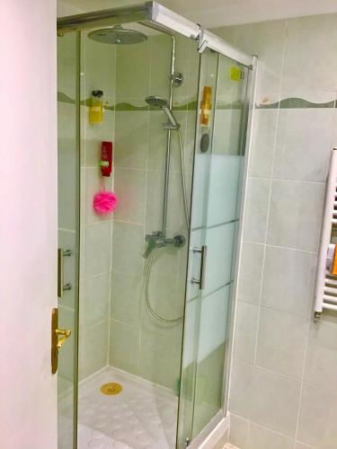 La salle de bains est pourvue d'une cabine de douche en verre. dans l'établissement Nice port quartier antiquaire, à Nice