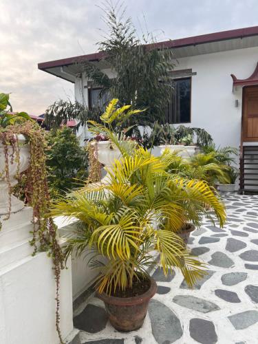 Un jardín fuera de Club De Novo Hotel
