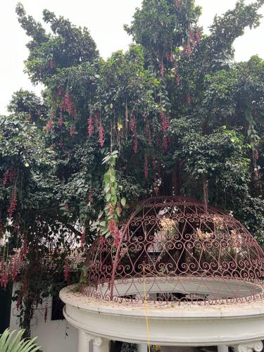 Un jardín fuera de Club De Novo Hotel