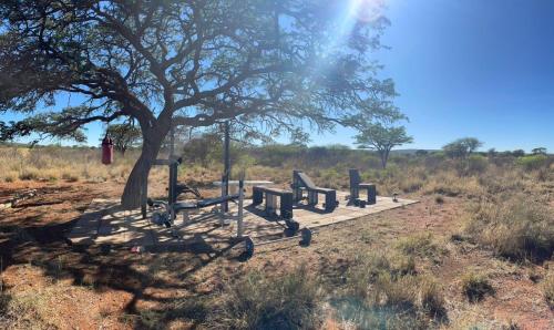 a swing under a tree in a field at Gecko Accommodation in Hotazel