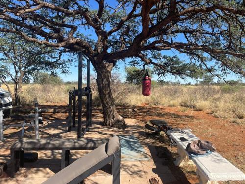 a bag hanging from a tree in a field at Gecko Accommodation in Hotazel