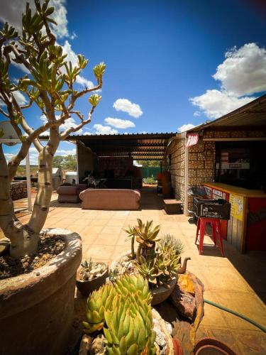 a patio with a bunch of potted plants and a house at Gecko Accommodation in Hotazel