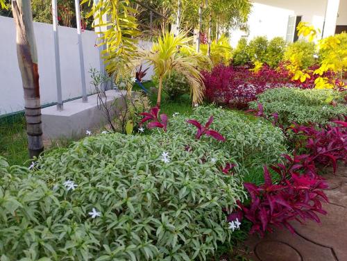 Un jardín fuera de C & D Apartments