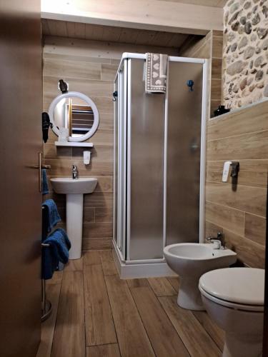 un bagno con doccia, WC e lavandino di B&B La Piazzetta a Goito