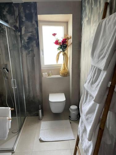 a bathroom with a shower and a toilet and a window at Appartamenti Ramarro in Ronco s/Ascona - Porto Ronco