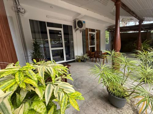 a patio with a bunch of plants at Devon Surf . Inn - Hiriketiya in Dickwella