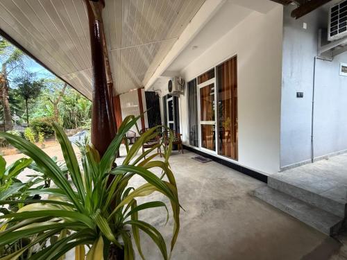 a porch of a house with a plant at Devon Surf . Inn - Hiriketiya in Dickwella