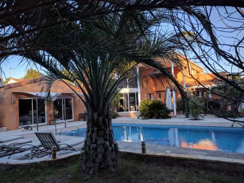un palmier et une chaise à côté de la piscine dans l'établissement Villa Exotique, Luxueux, Piscine, Calme, Parking, à Rognac