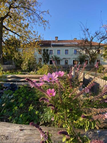 a garden with pink flowers in front of a house at Esperanzahof in Oberndorf an der Melk