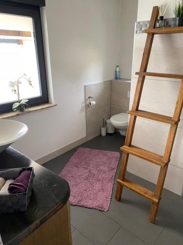 a bathroom with a toilet and a wooden ladder at Ferienhaus am Schwielochsee in Friedland