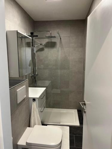 a bathroom with a shower and a toilet and a sink at Alpendomizil 2 - Mühlbachblick (A5) in Mühlbach am Hochkönig