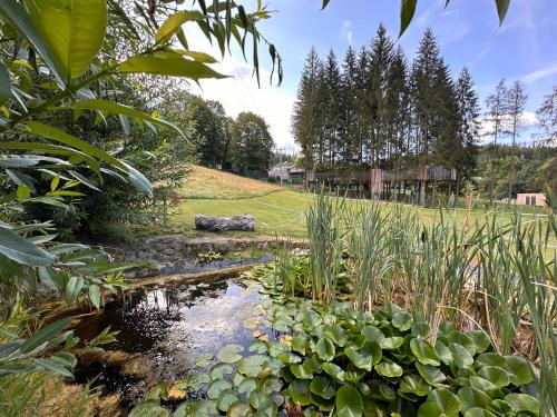 a stream in a garden with plants and a field at Horský hotel Kyčerka in Velké Karlovice