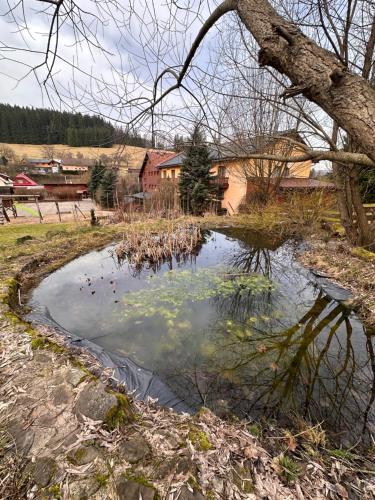 a pool of water in a yard with a tree at Horský hotel Kyčerka in Velké Karlovice
