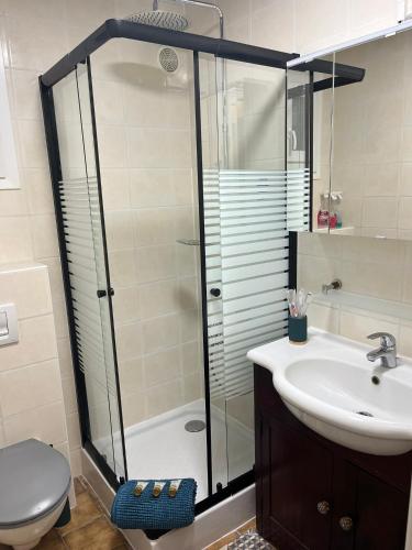 une salle de bain avec une douche, un lavabo et des toilettes dans l'établissement Maison montagne Lélou - 4 à 6 personnes - Saint Jacques des blats, à Saint-Jacques-des-Blats