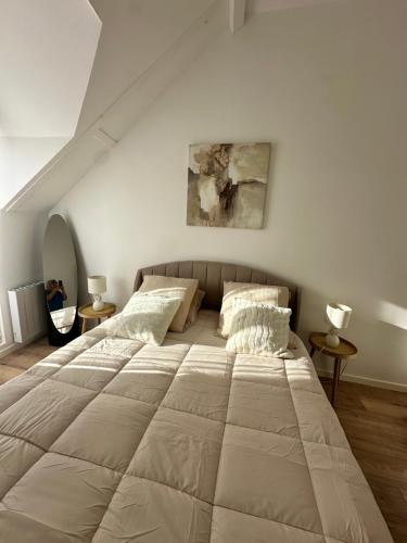 une chambre avec un grand lit avec deux oreillers dans l'établissement Charmante maison, à Crouy-en-Thelle