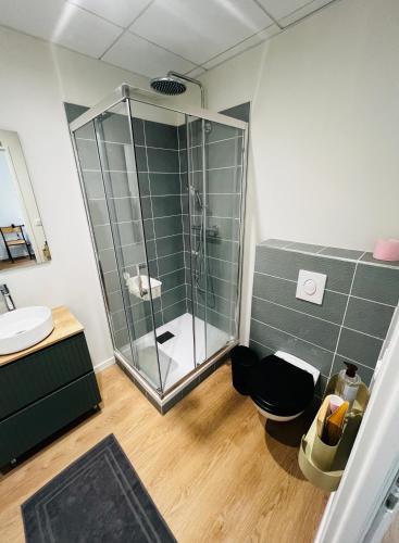 une salle de bain avec douche et lavabo dans l'établissement Domaine de Souchiol, à Coubon