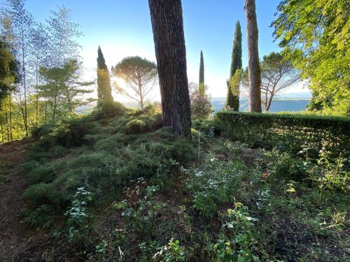a garden with trees and bushes and a tree at Il Giardino e la Dimora in Bomarzo