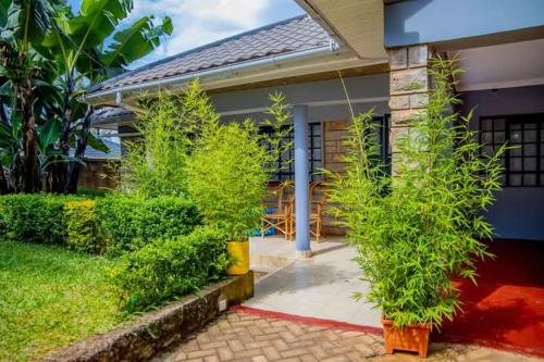 Κήπος έξω από το Jama Cosy Homes