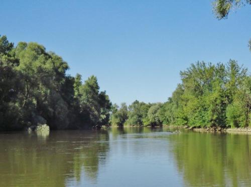 a river with trees on the side of it at Orgona Vendégház in Murakeresztúr