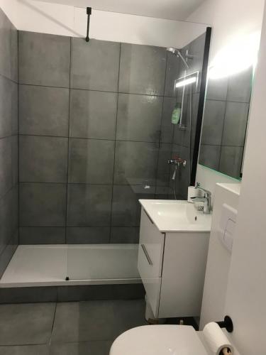 une salle de bain avec une douche, des toilettes et un lavabo dans l'établissement Studio spacieux bord de mer, à Camiers