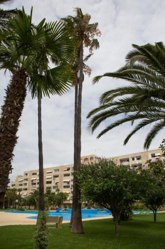 two palm trees in front of a building at Jamaica Beach House in Puebla de Farnals