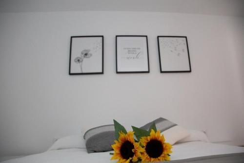 four pictures on a wall above a bed with a sunflower at Jamaica Beach House in Puebla de Farnals