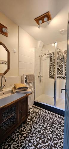 une salle de bain avec douche et lavabo dans l'établissement Château la bastide cardan, à Saint-Sulpice-de-Pommiers