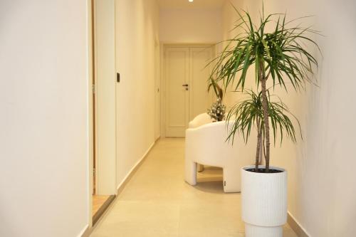 Φωτογραφία από το άλμπουμ του NEA Deluxe Apart-Hotel στα Τίρανα