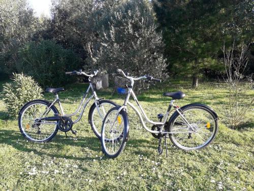 Photo de la galerie de l'établissement Au calme, proche plage & commerces, 2 vélos inclus, à Grand-Village-Plage