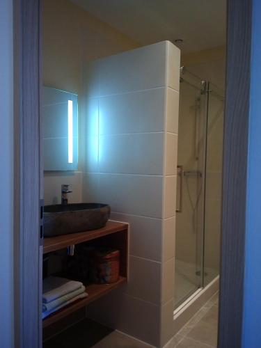 une salle de bain avec un lavabo et une douche dans l'établissement Gîtes de Charme Lalaurie, à Sauveterre-la-Lémance