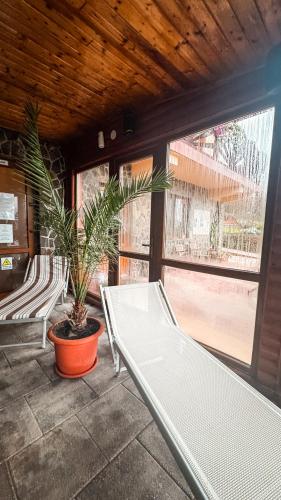 a white bed in a room with a potted plant at Németh Resort in Sovata
