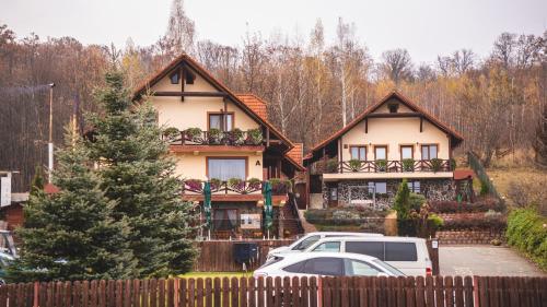a house with cars parked in front of it at Németh Resort in Sovata
