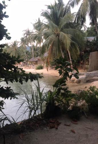 a sandy beach with palm trees and water at Smiley Bungalows Guesthouse in Srithanu